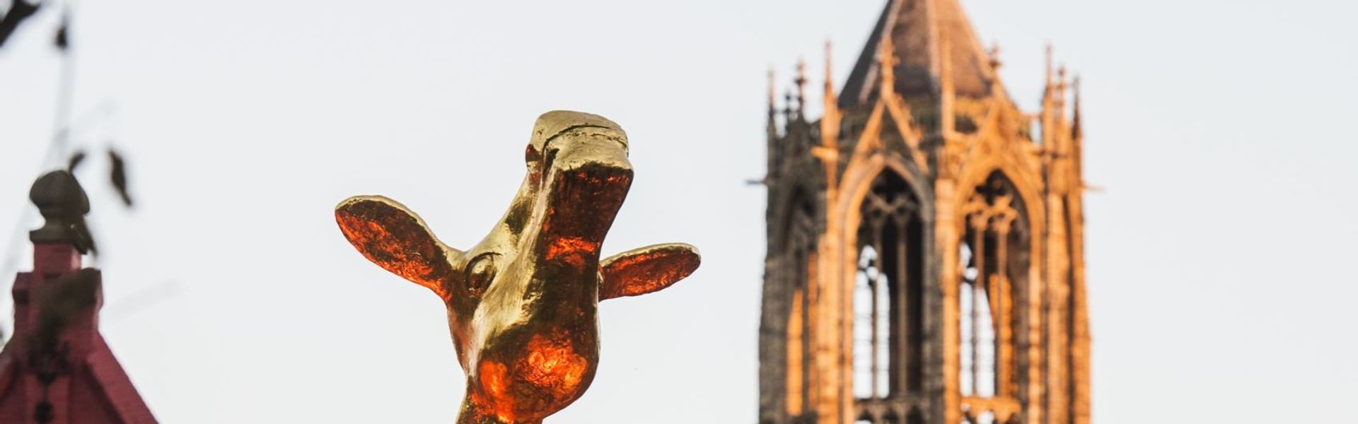 Gouden Kalf