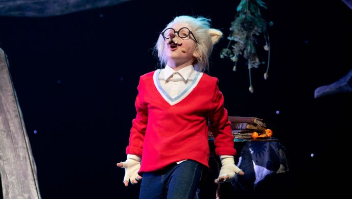 Dolfje Weerwolfje & Foeksia de Miniheks | Chassé Theater Breda