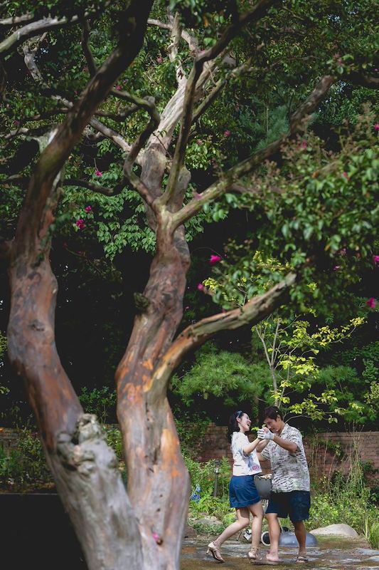 No Other Choice | Chassé Cinema Breda