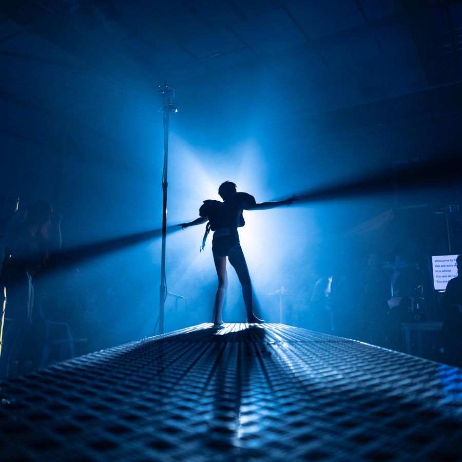 HOLOBIONT | Chassé Theater Breda