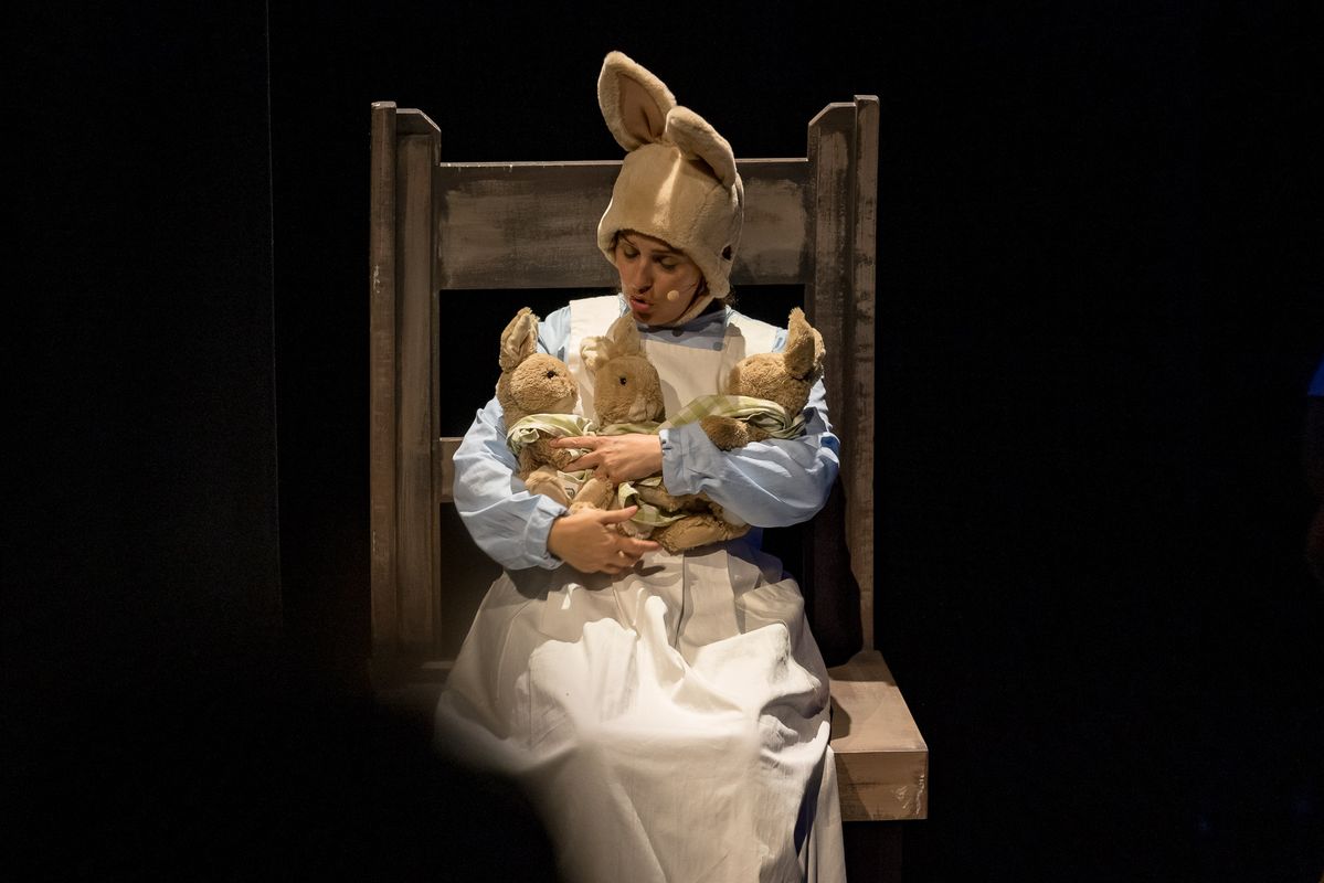 Het avontuur van Pieter Konijn | Chassé Theater Breda