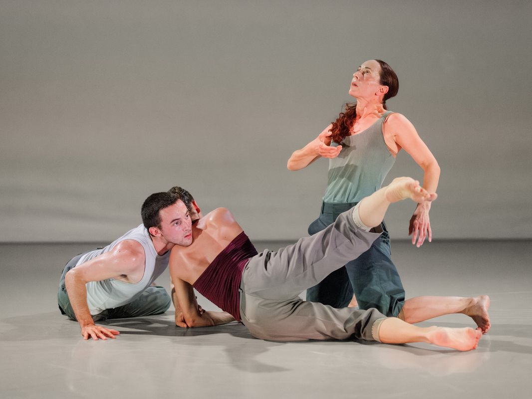 Conny Janssen Danst | DANSLOKAAL 14