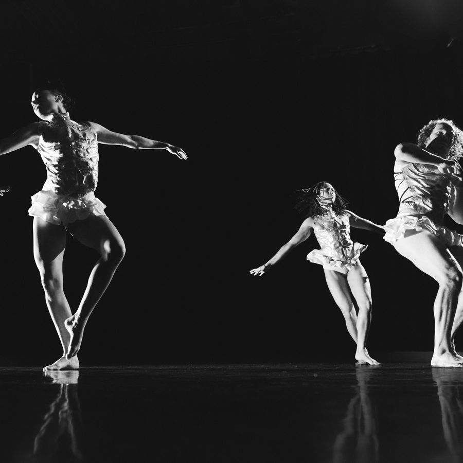 ARK / Connor Schumacher | Chassé Theater Breda