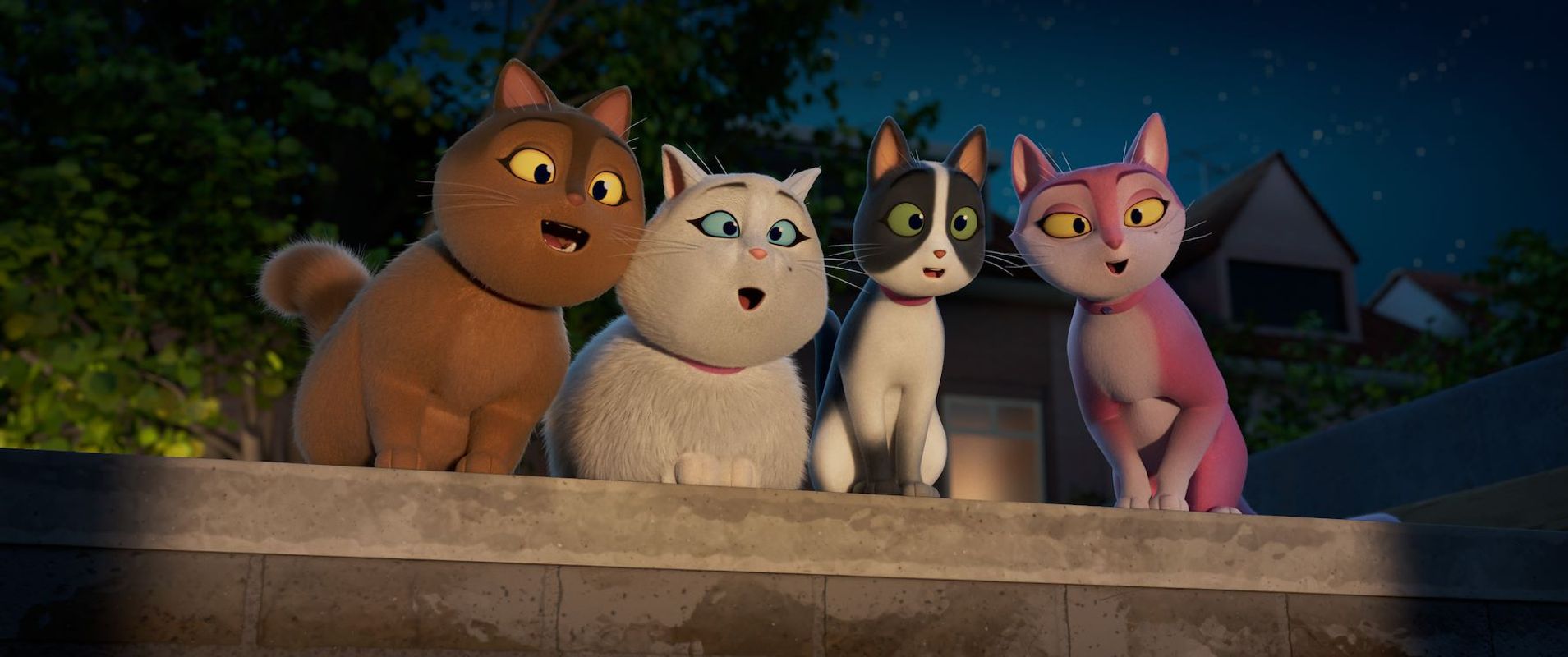 Miss Moxy | Chassé Cinema Breda