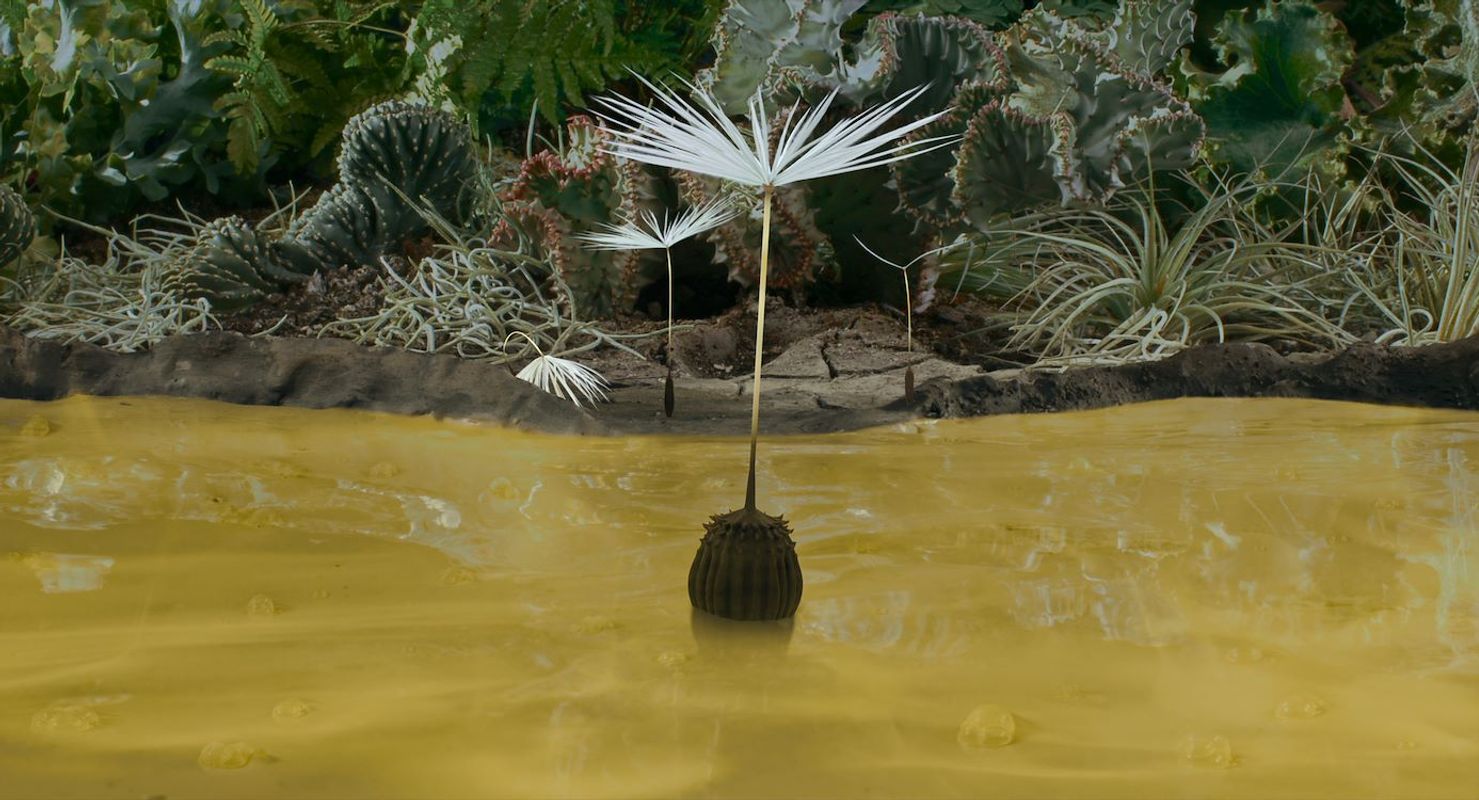 Dandelion's Odyssey | Chassé Cinema Breda