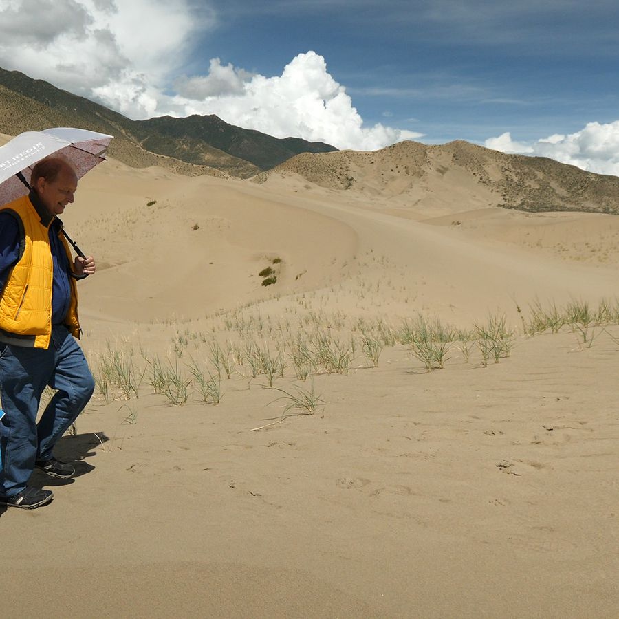 Green Musketeer | Chassé Cinema Breda