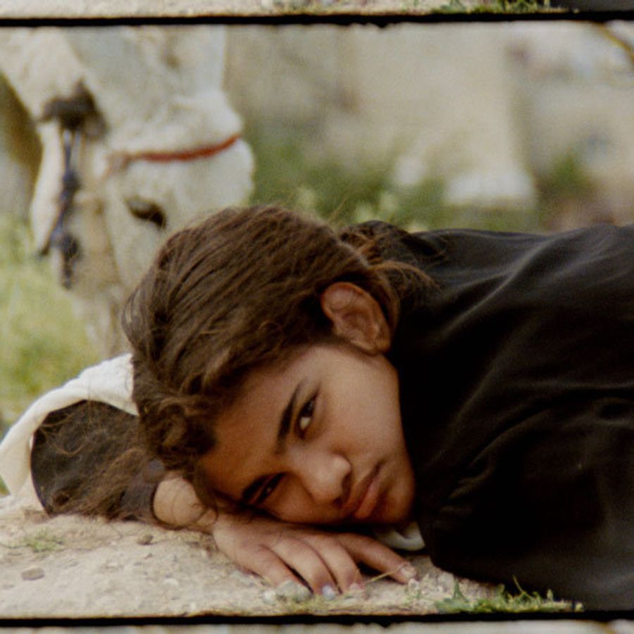 Noor Abed