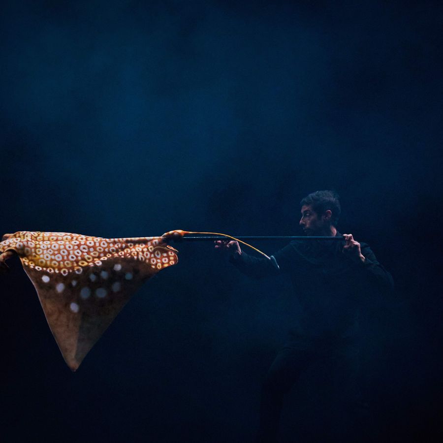 Carnaval der Dieren | Chassé Theater