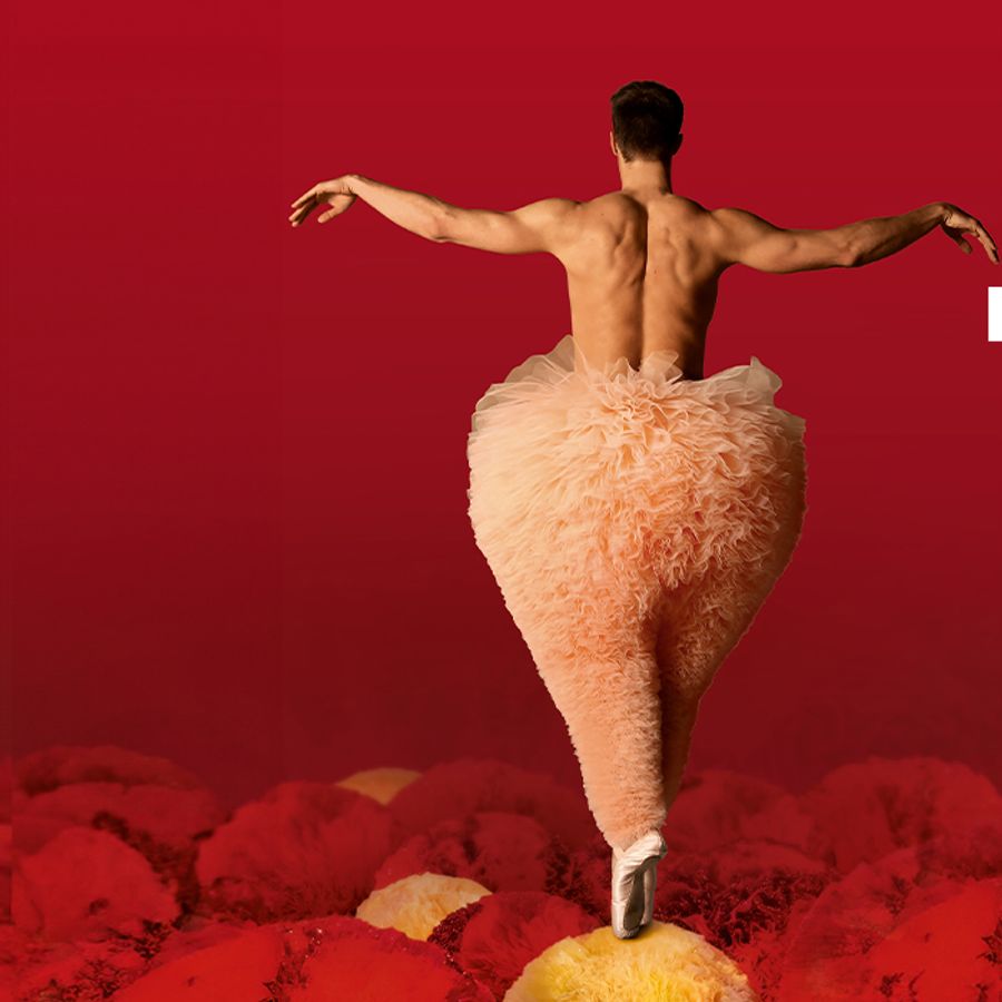 Chicos Mambo | Chassé Theater Breda