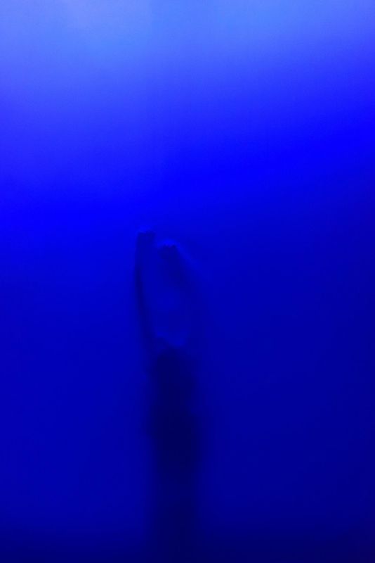 Vertical Blue | Chassé Theater Breda