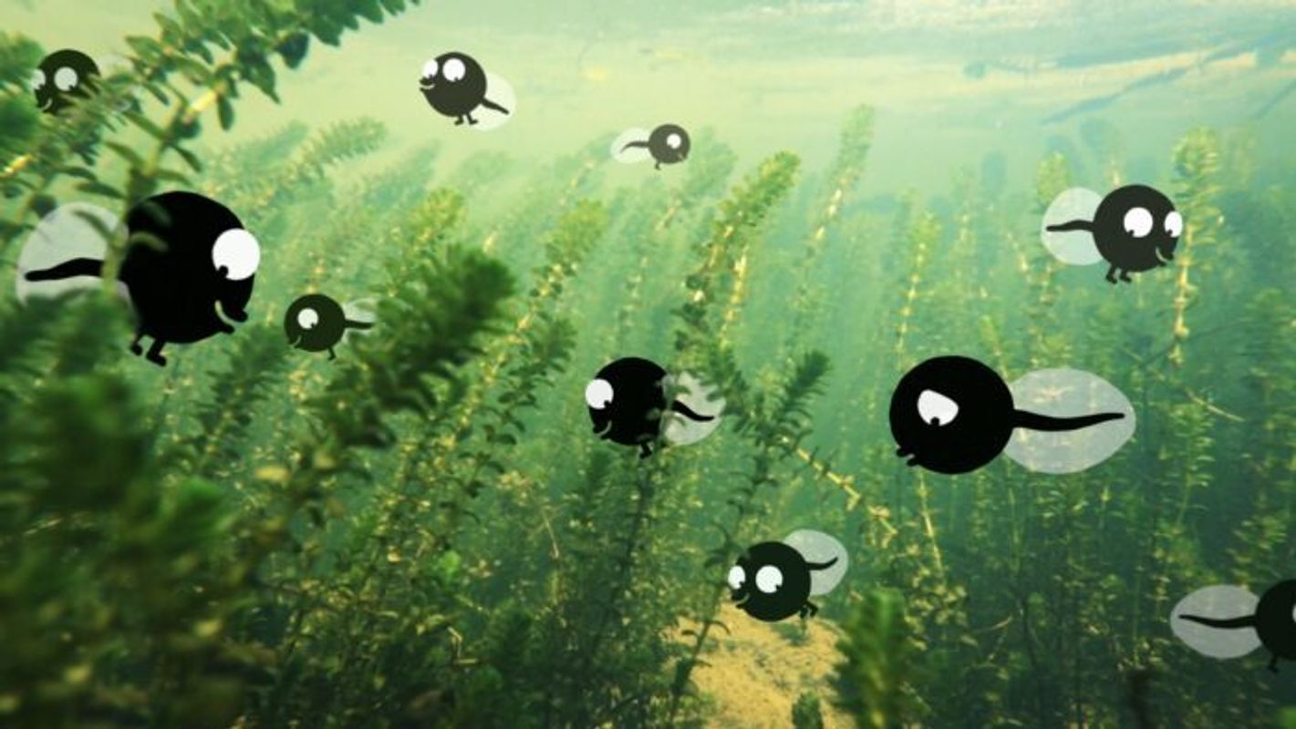 Cinemini: Bijzondere Beesten | Chassé Cinema Breda