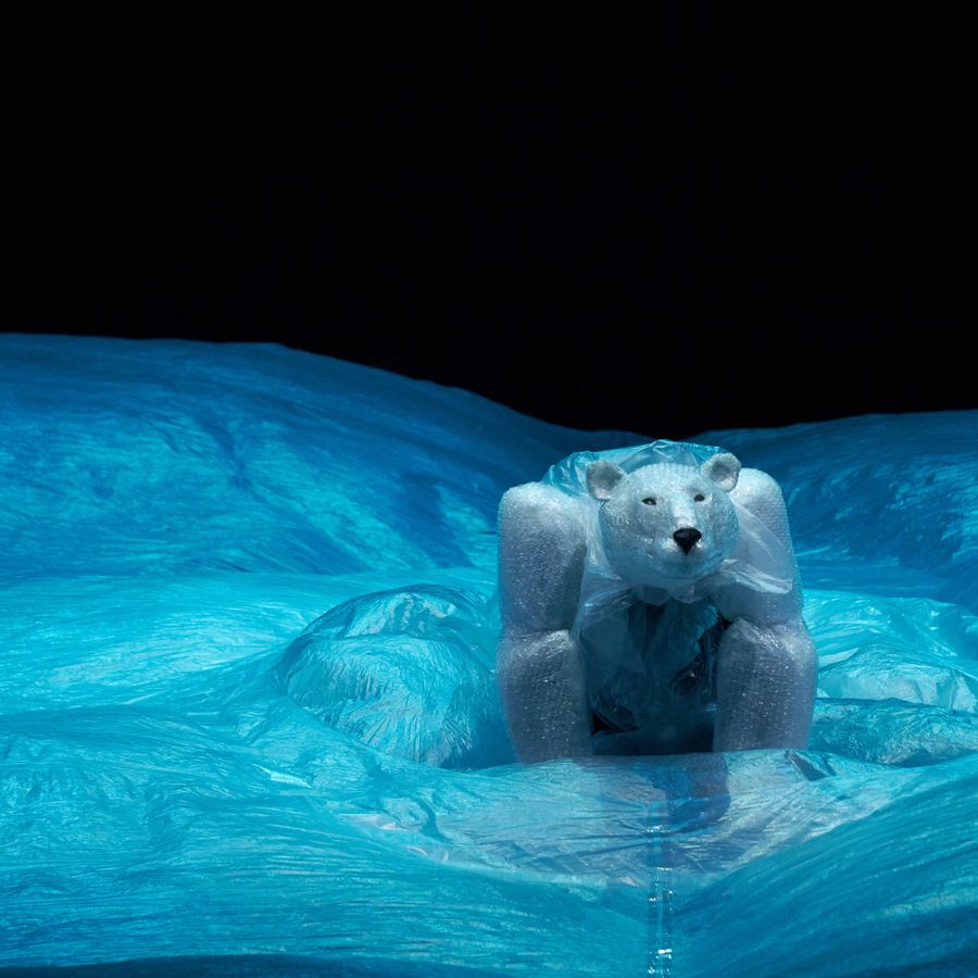 Carnaval der Dieren | Chassé Theater