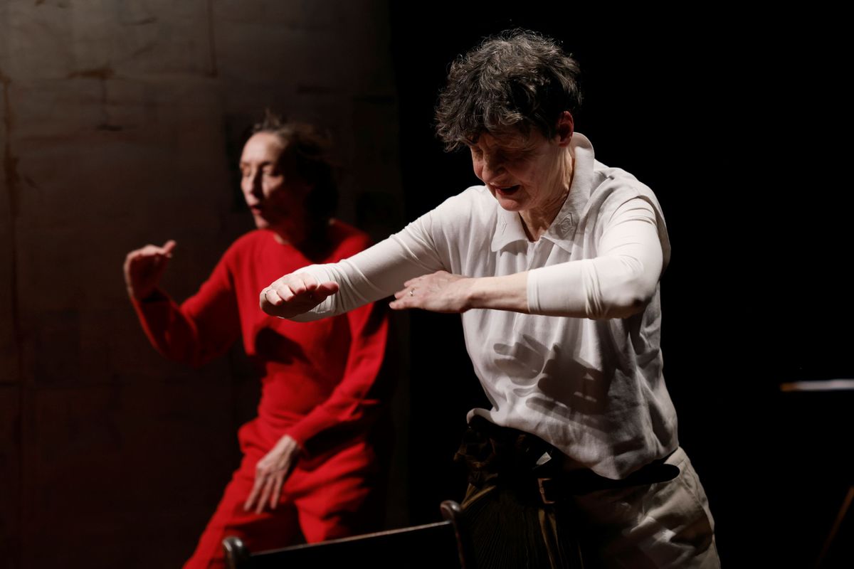 Weiblicher Akt 14 - Woolf - Zadie - en wij | Chassé Theater Breda