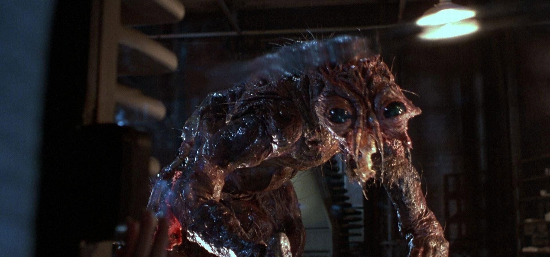 The Fly | Chassé Cinema Breda