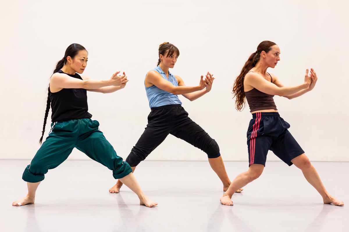 Conny Janssen Danst | Chassé Theater Breda