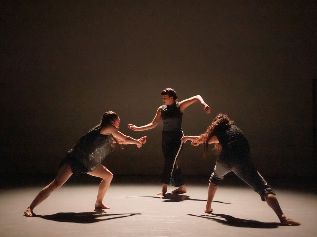 Conny Janssen Danst | DANSLOKAAL 14