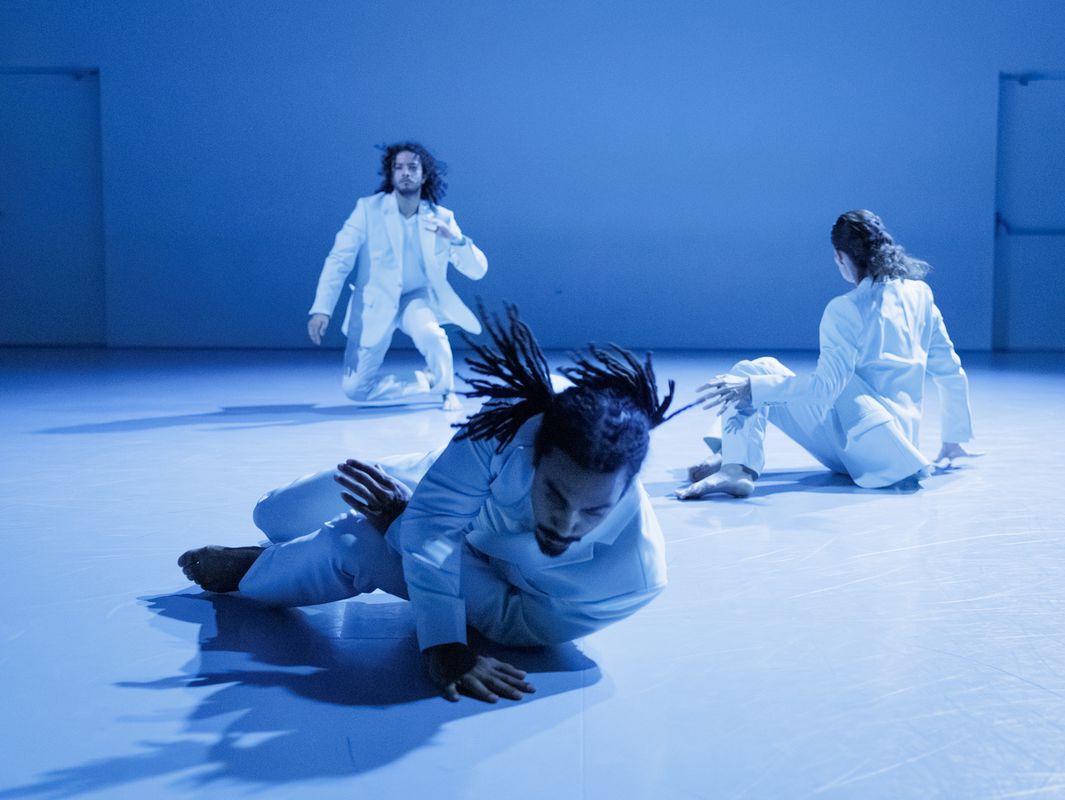 Conny Janssen Danst | DANSLOKAAL 14