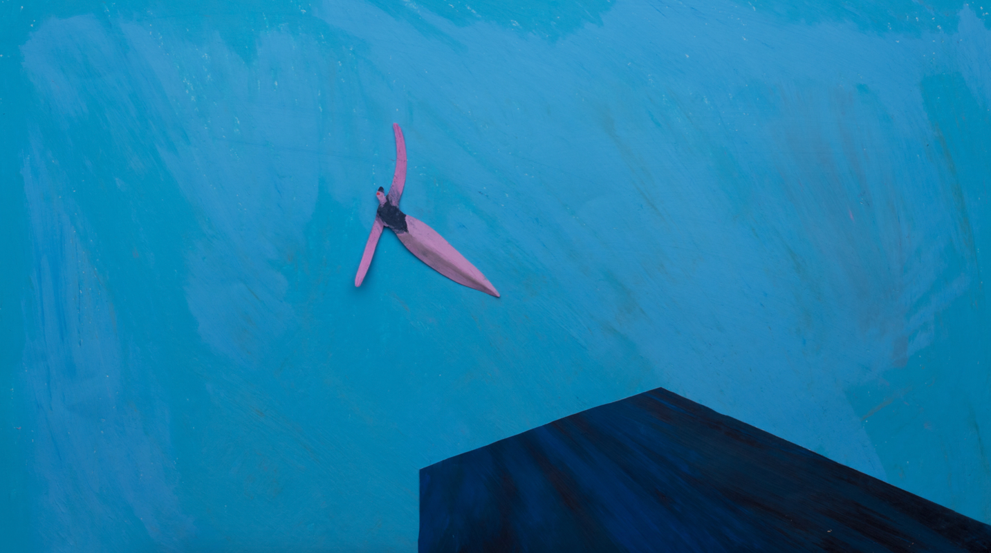 De schoonspringer