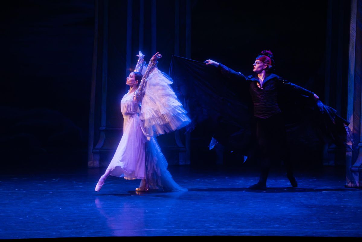 Het Zwanenmeer Odette