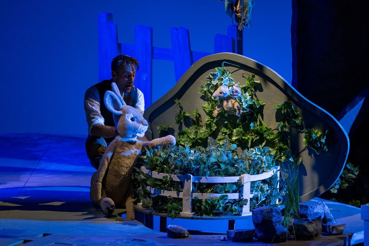 Het avontuur van Pieter Konijn | Chassé Theater Breda