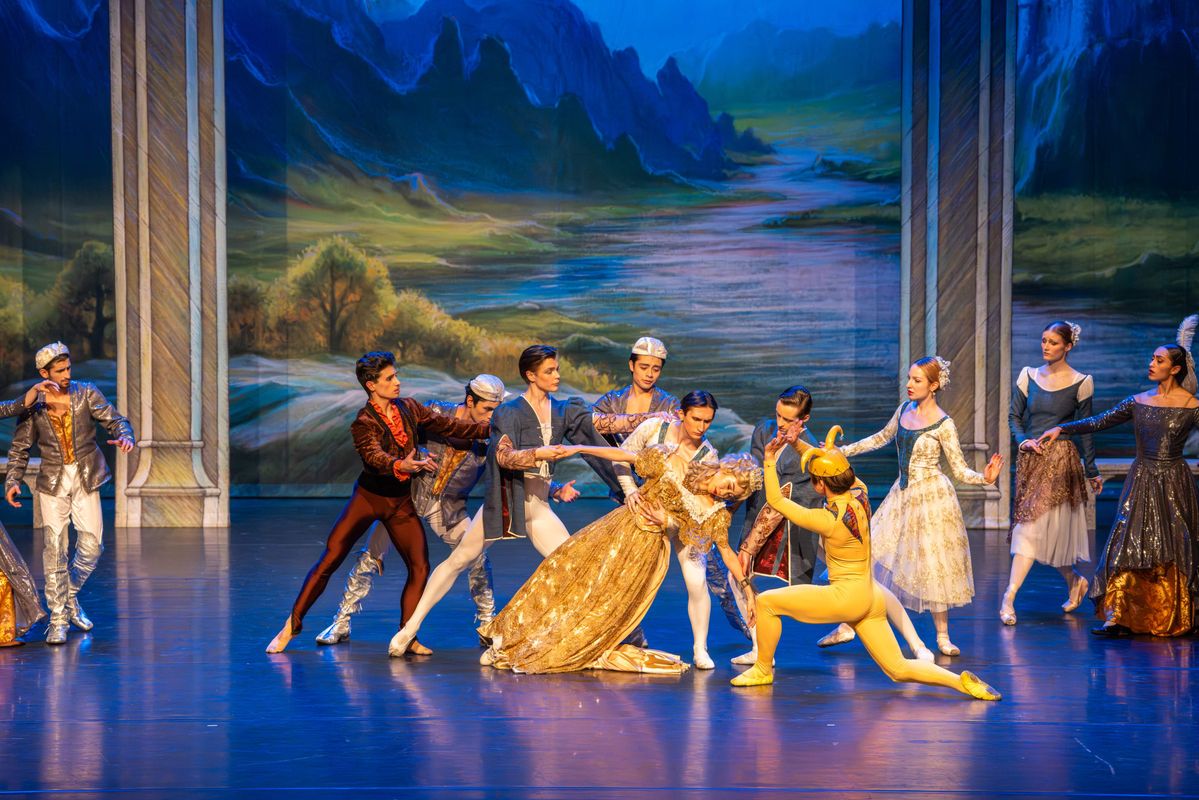 Het Zwanenmeer in theater