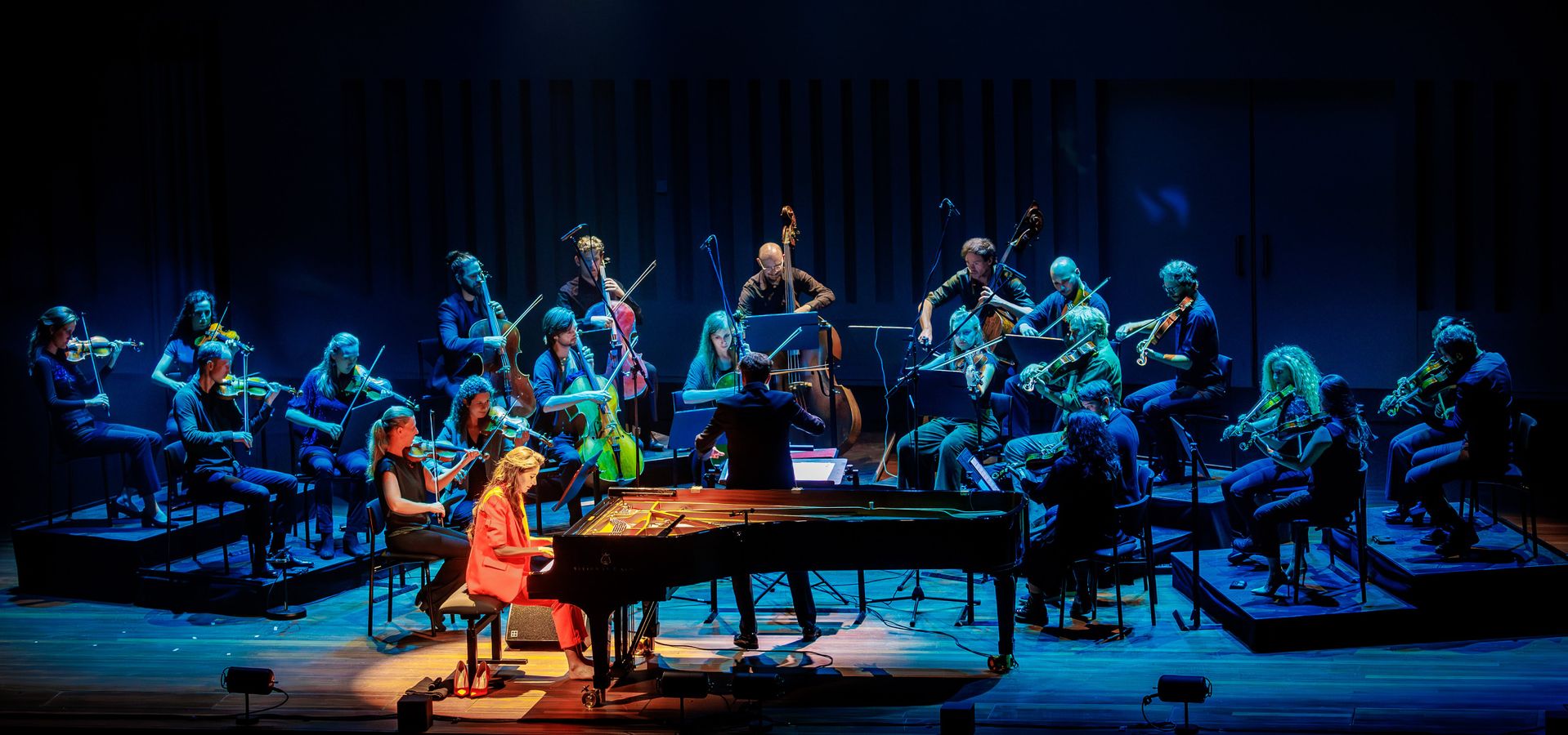 Kamerata Zuid & Iris Hond | Chassé Theater Breda