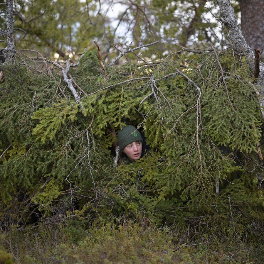 Whispers in the Woods | Chassé Cinema Breda