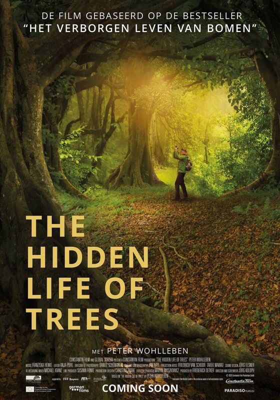 Summer Docs: the Hidden Life of Trees | Chassé Cinema Breda