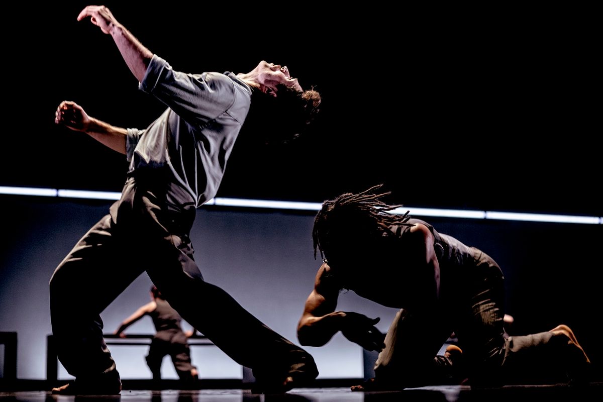 Conny Janssen Danst | Chassé Theater Breda