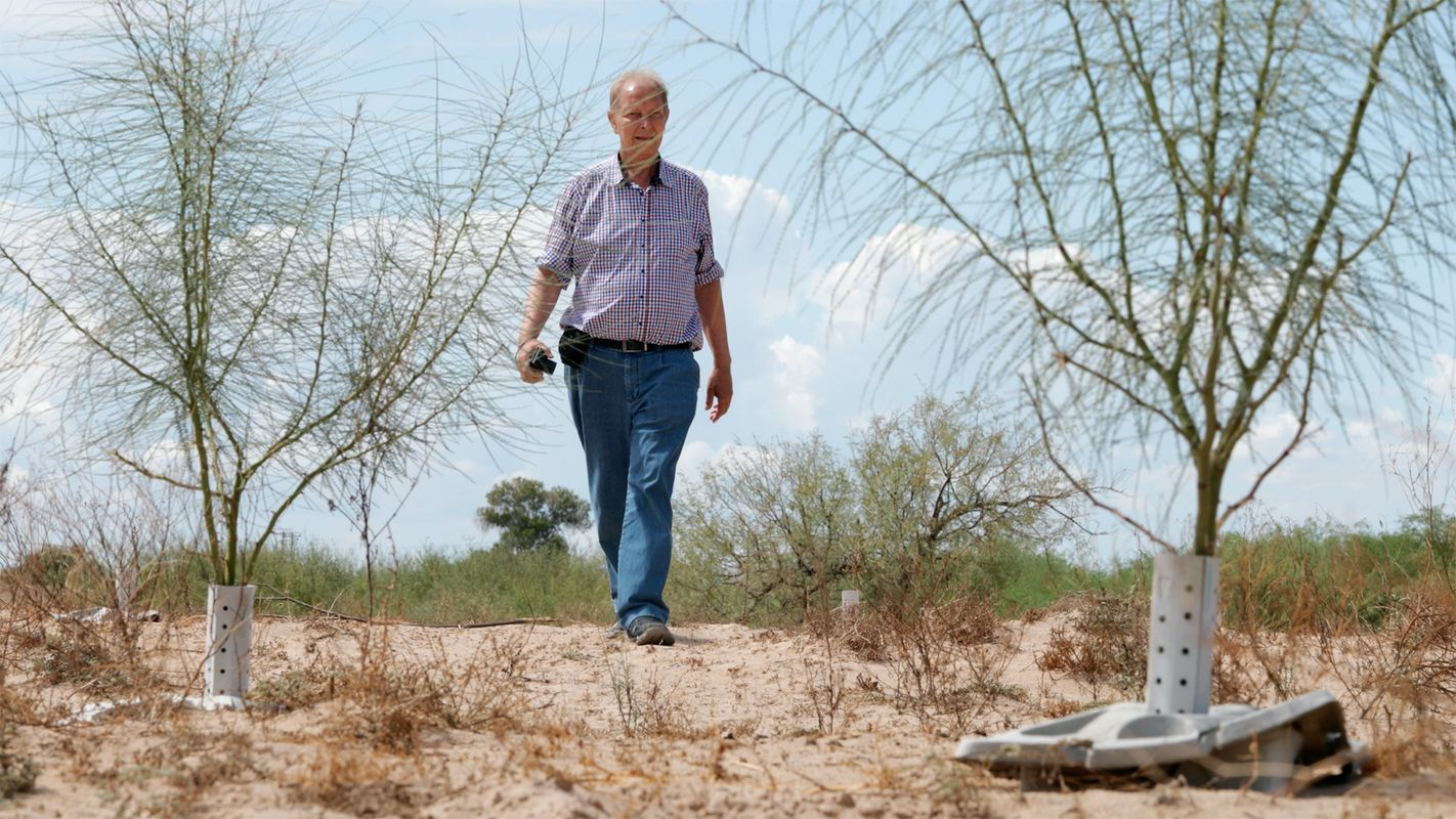 Green Musketeer | Chassé Cinema Breda