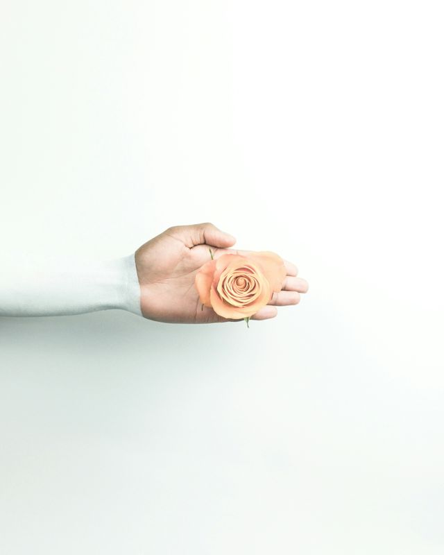 Wonder - liefde is overal