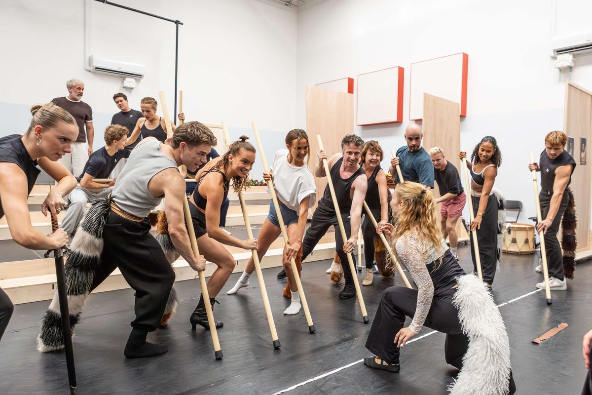 CATS | Chassé Theater Breda