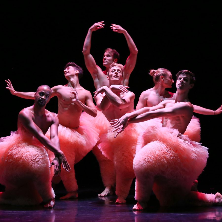 Chicos Mambo | Chassé Theater Breda