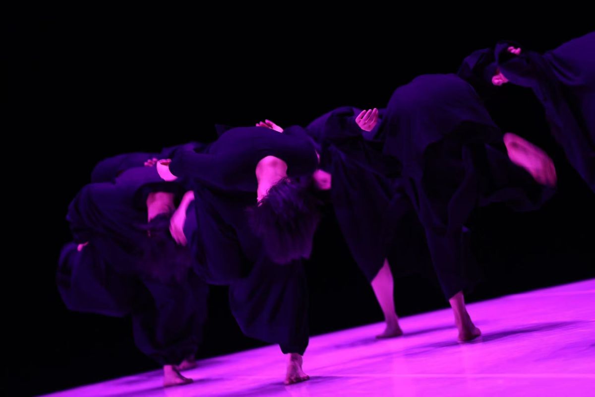 TAO Dance Theater | Chassé Theater Breda