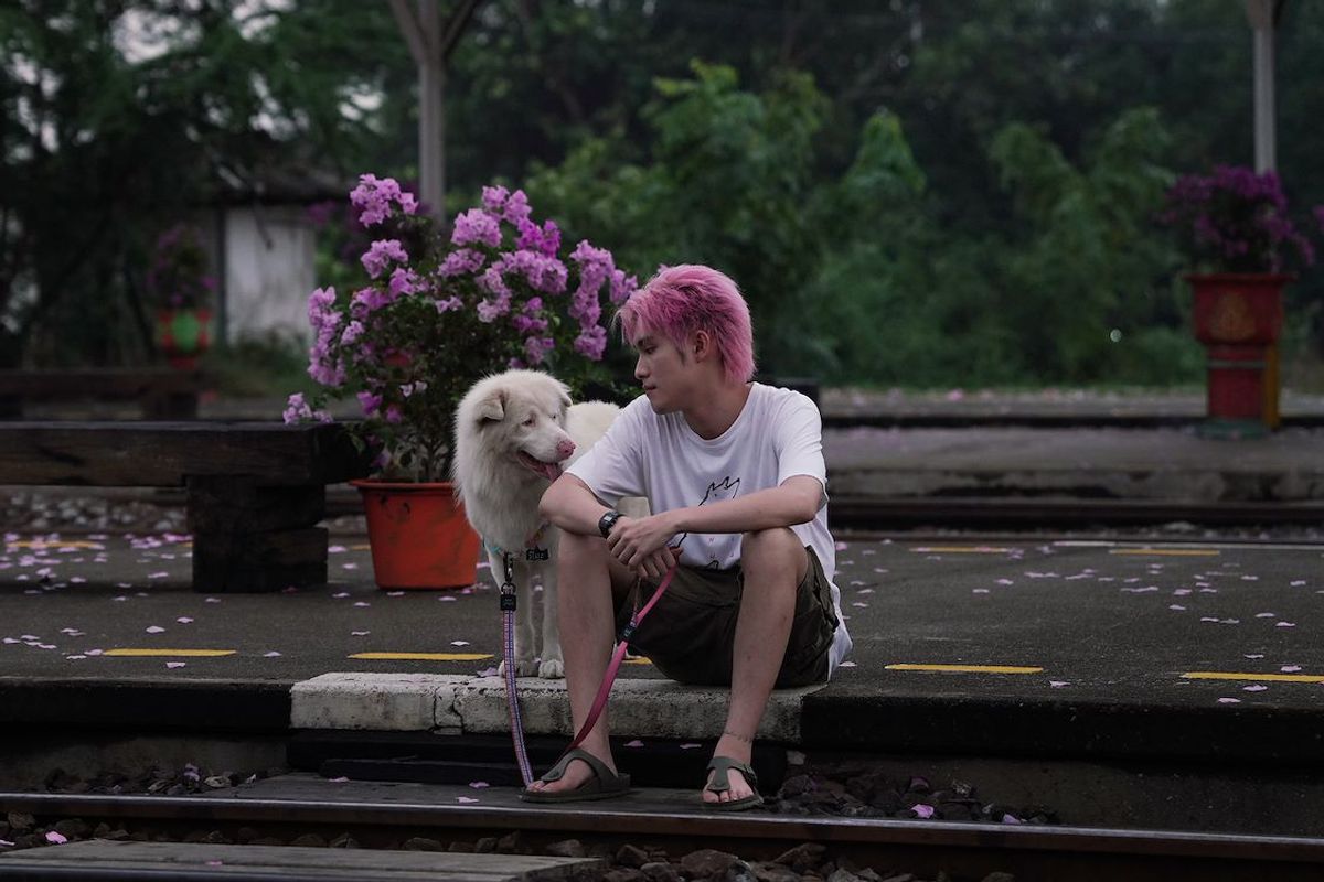 Gohan | Chassé Cinema Breda