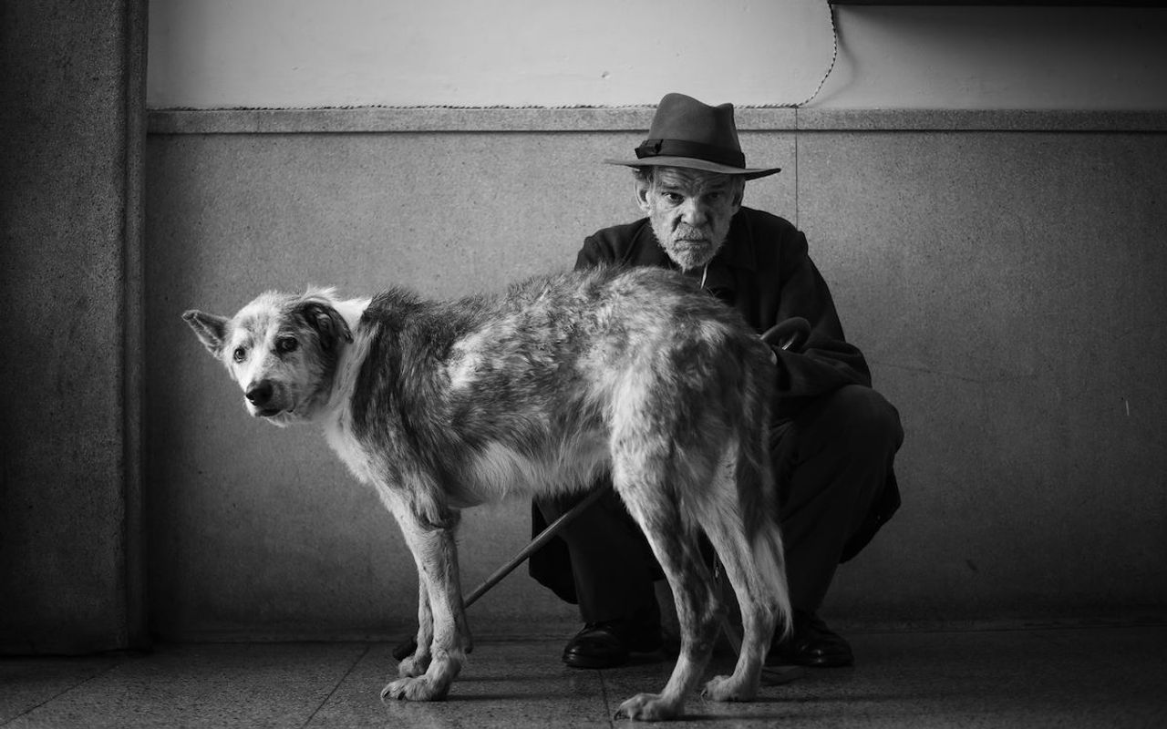 L'Etranger | Chassé Cinema Breda
