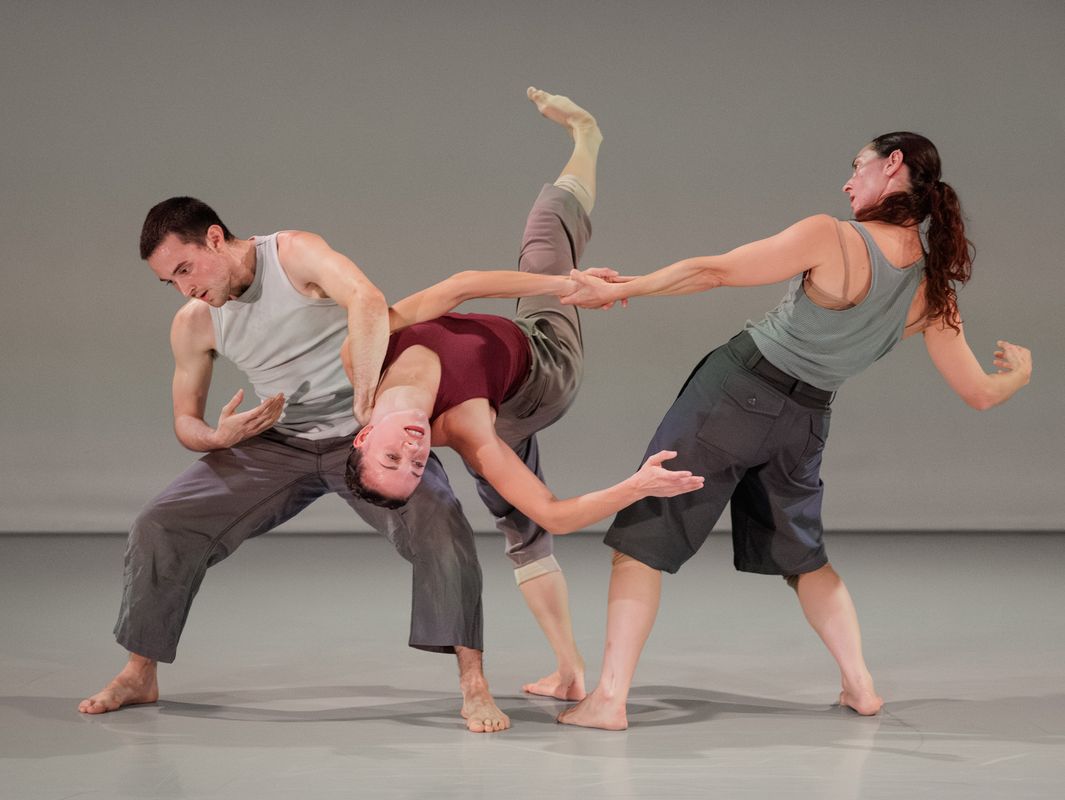 Conny Janssen Danst | DANSLOKAAL 14