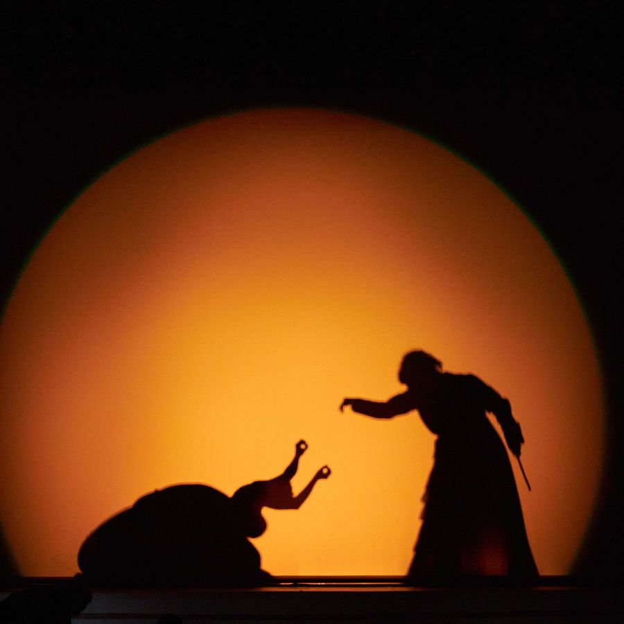 Carnaval der Dieren | Chassé Theater