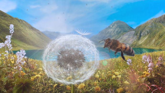 Dandelion's Odyssey | Chassé Cinema Breda