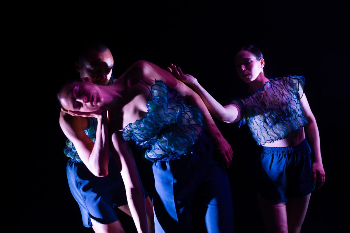 Winged, Kalpanarts | Chassé Theater Breda