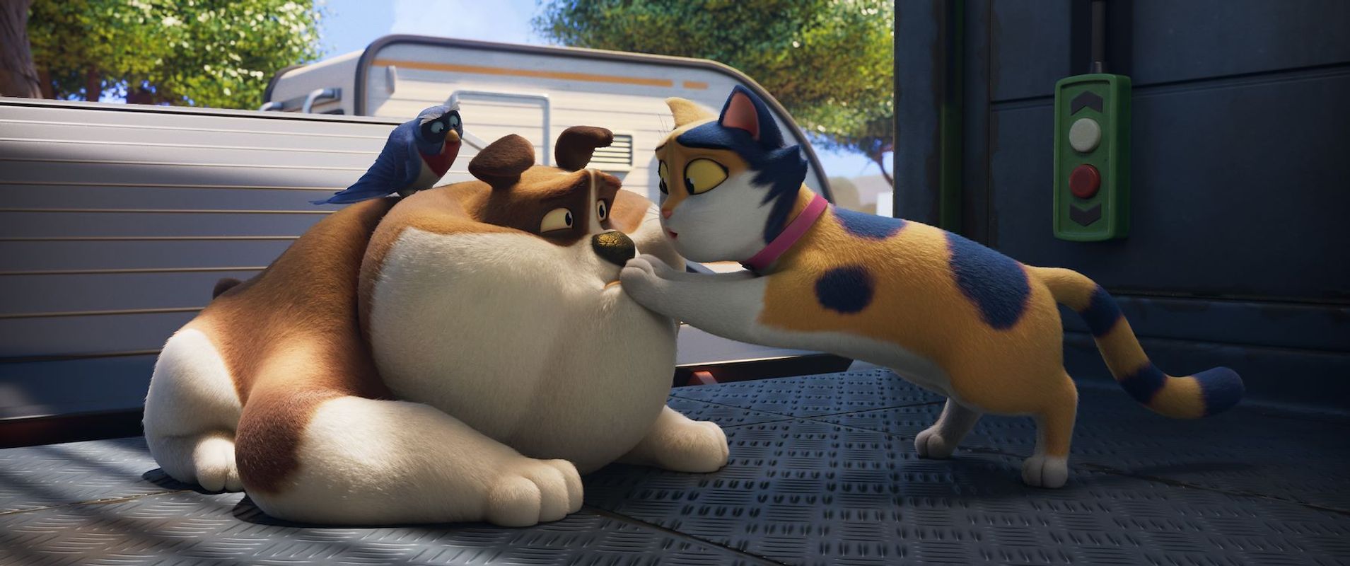 Miss Moxy | Chassé Cinema Breda