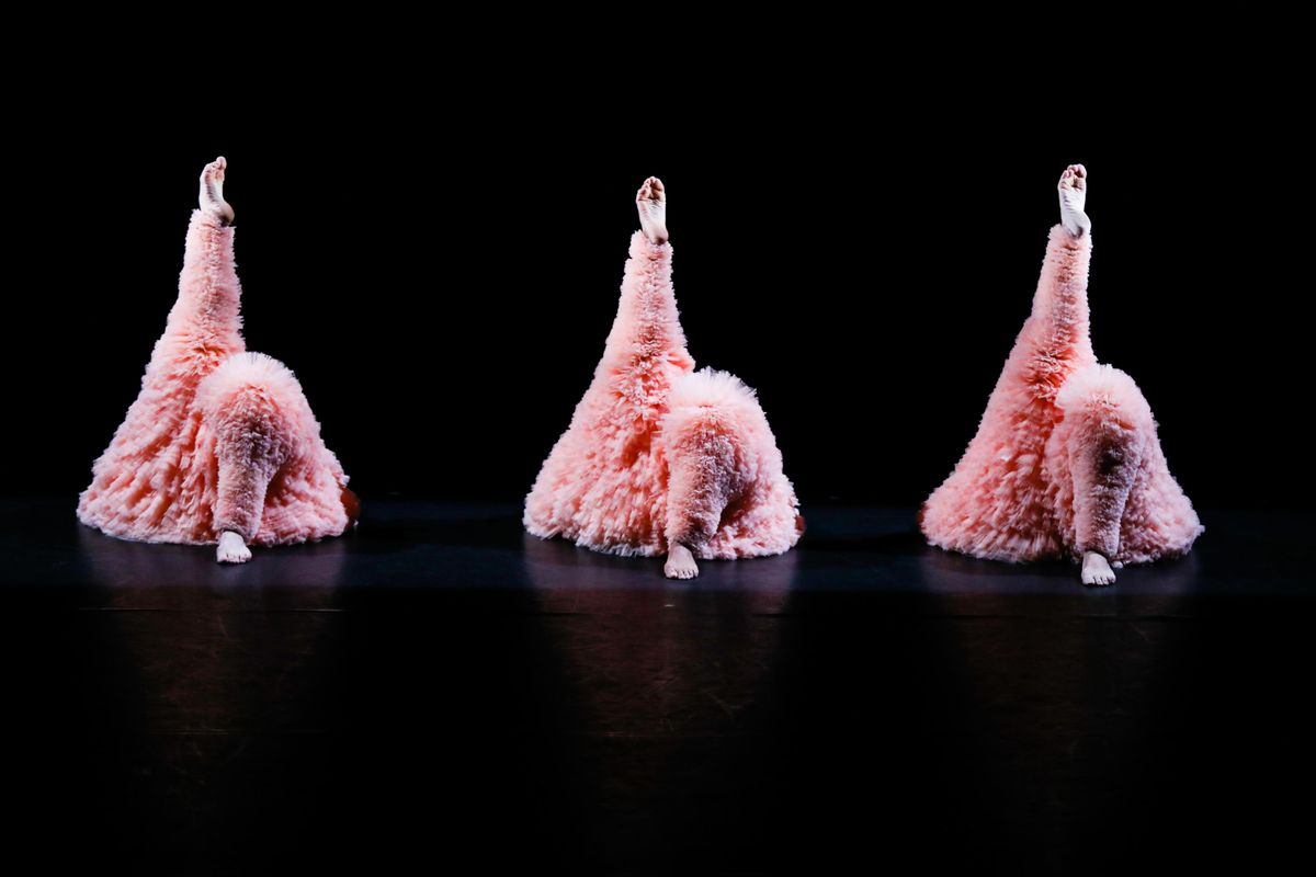 Chicos Mambo | Chassé Theater Breda