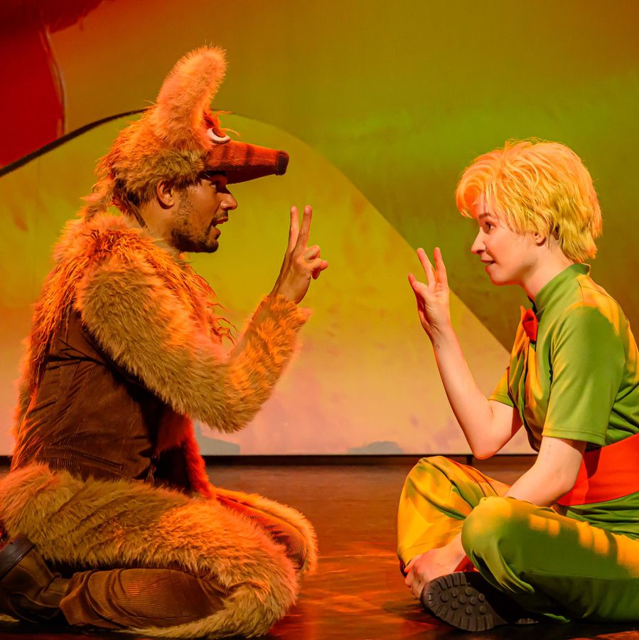 De Kleine Prins | Chassé Theater Breda