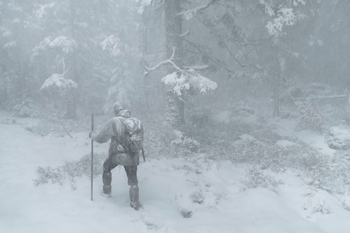 Whispers in the Woods | Chassé Cinema Breda