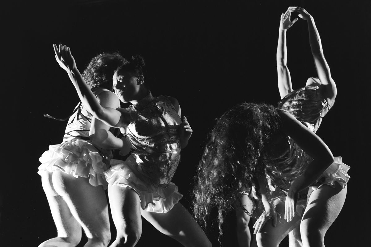 ARK / Connor Schumacher | Chassé Theater Breda