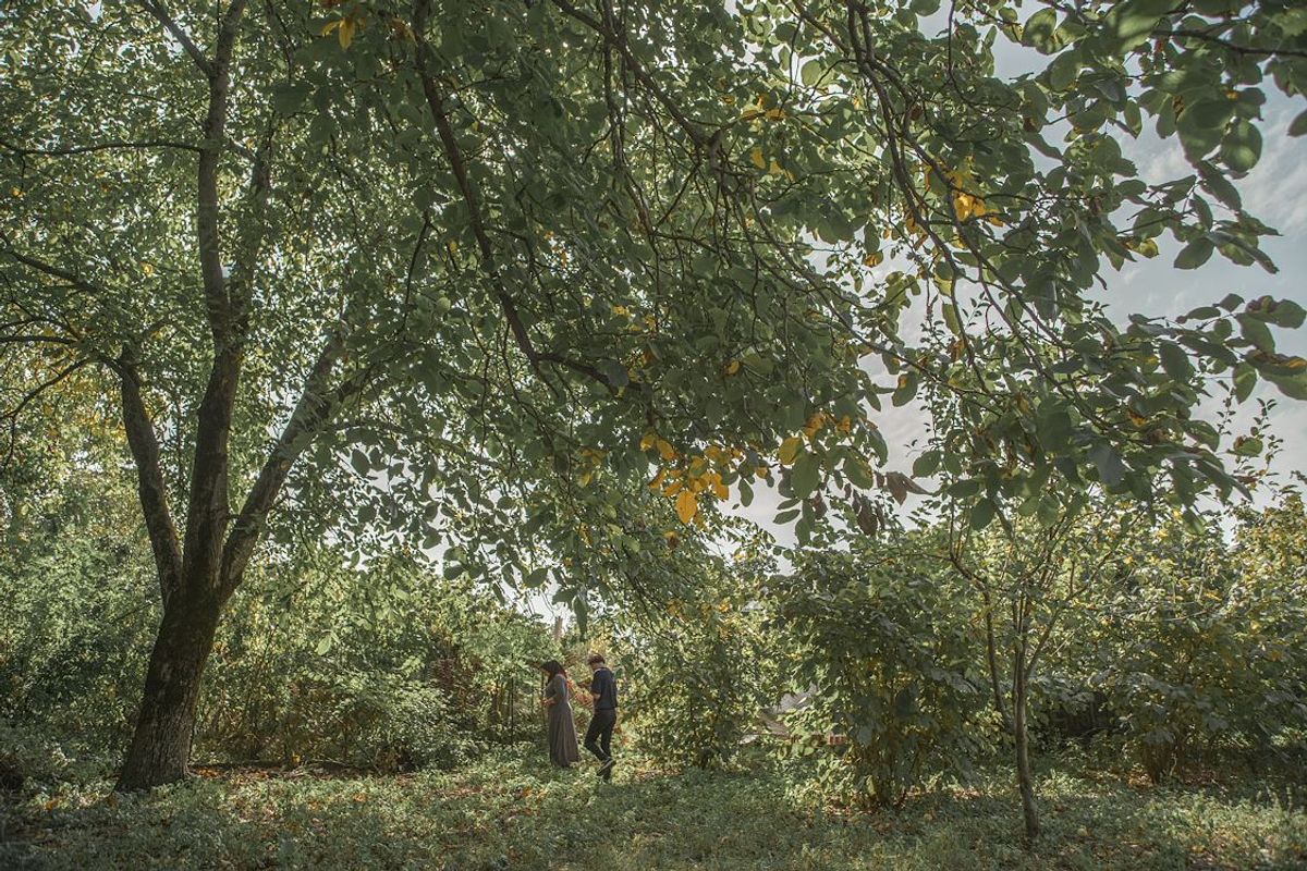Imago | Chassé Cinema Breda