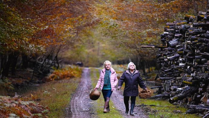 Quand vient l'automne | Chassé Cinema Breda