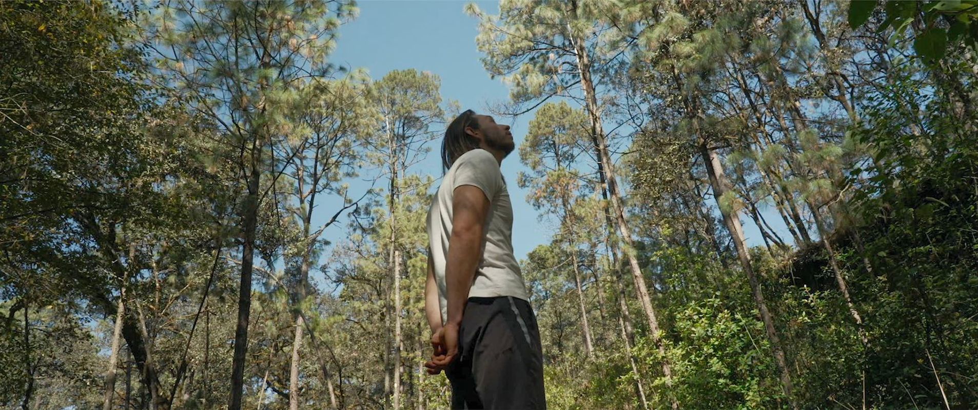 The Shipwrecked | Chassé Cinema Breda