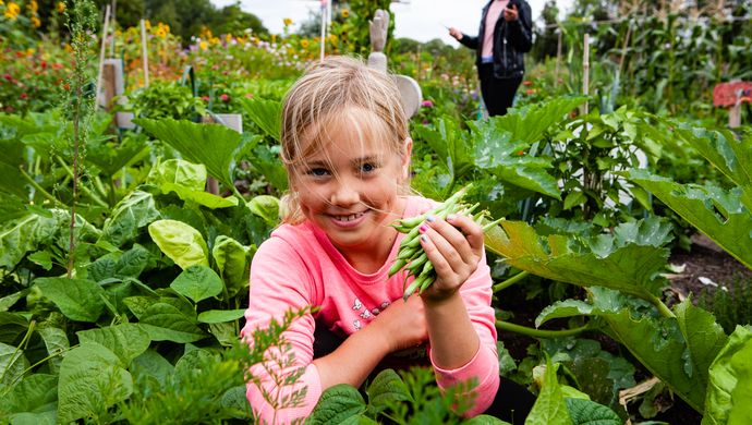 Onder het Maaiveld Junior (Week van de Bodemdierendagen) | Chassé Cinema