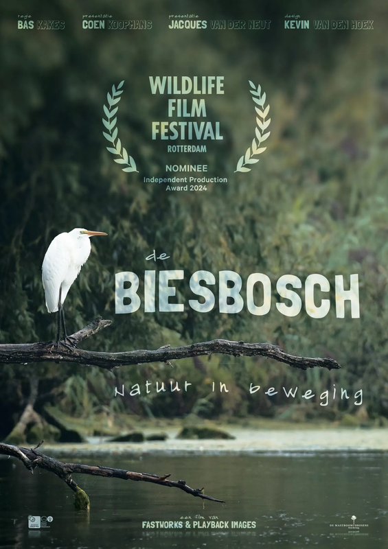 Prikkelarm filmbezoek: De Biesbosch, Natuur in Beweging